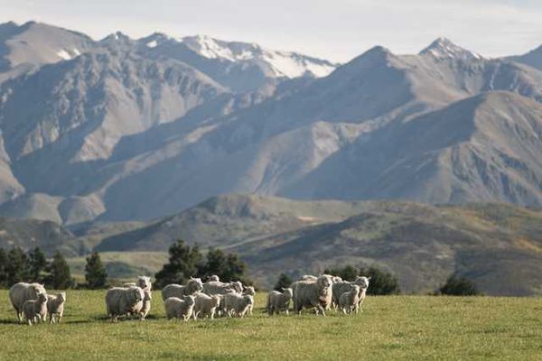 Pure, Beautiful New Zealand